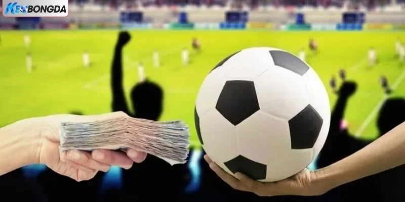 Đảm bảo tài chính người dùng