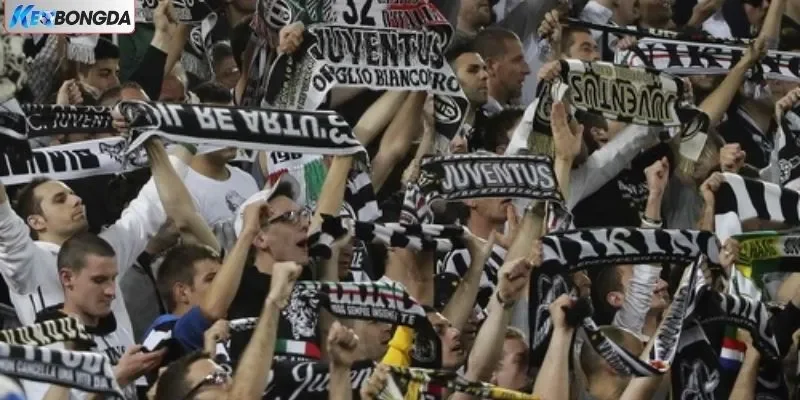 Những thành tựu vang đội của đội bóng Juventus