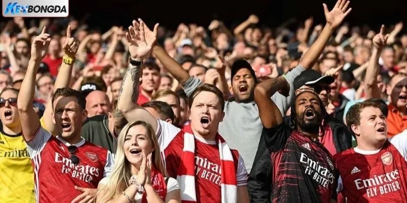 Danh xưng fan hâm mộ đội bóng Arsenal